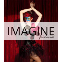 Fantasia Cisne Negro Luxo