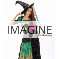 Fantasia Bruxa Green Luxo
