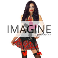 Fantasia Estudante Colegial